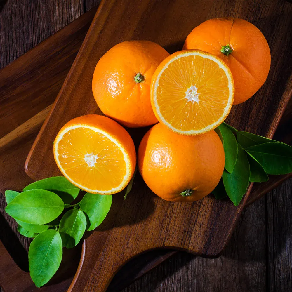 Valencia Orange Bush - Live Citrus Plant for Home and Garden 3