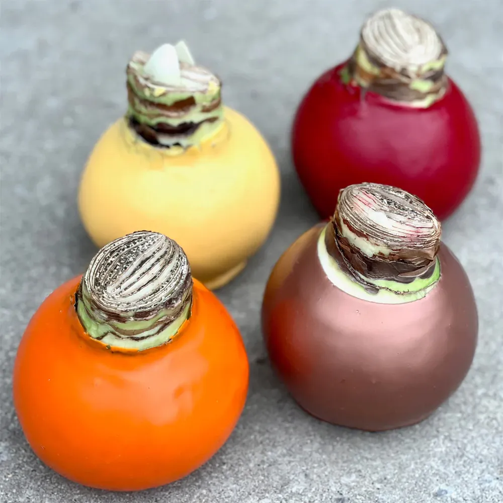 Cranberry Wax-Dipped Amaryllis Bulb with Sovereign Blooms 2