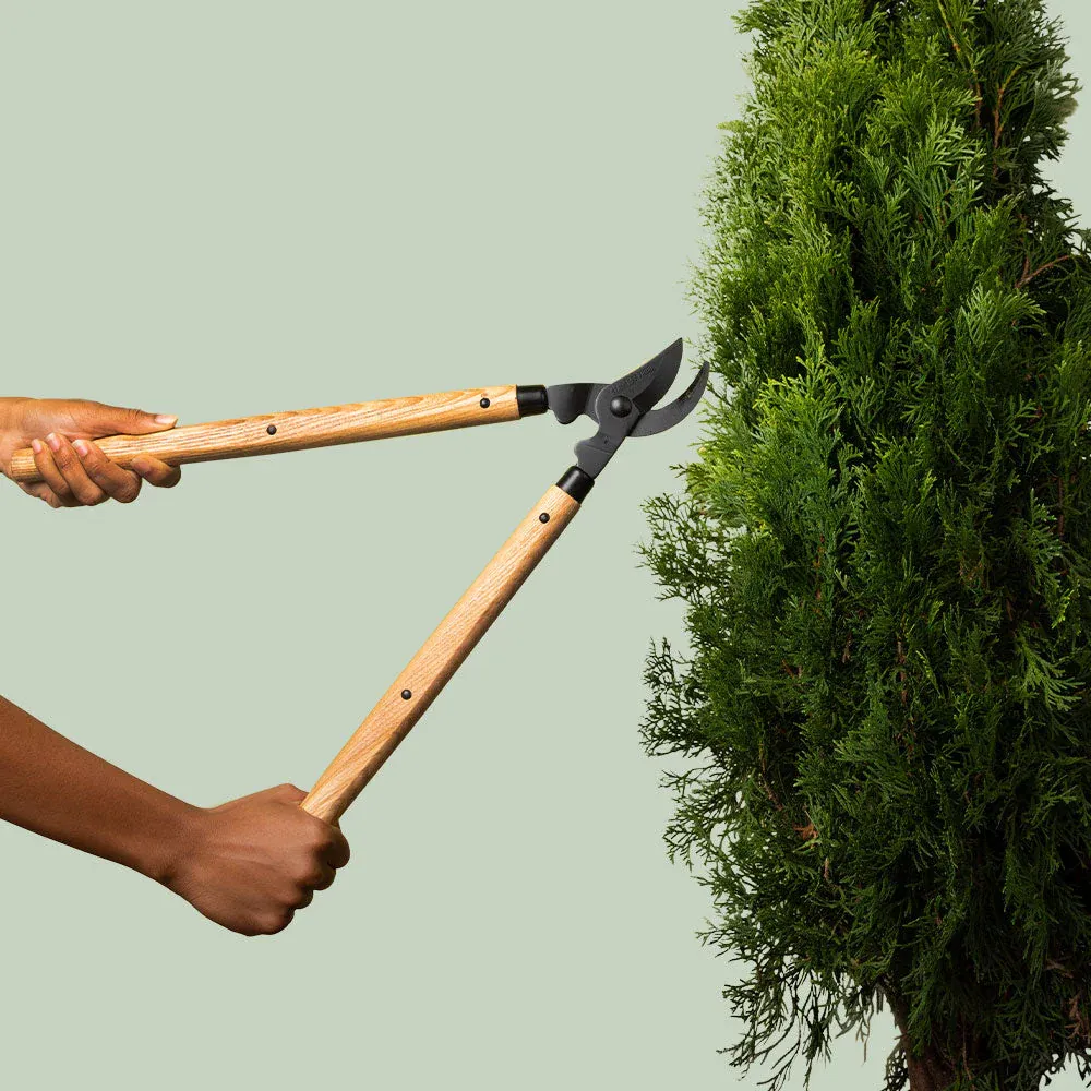 Laguiole Steel Loppers with Ergonomic Wood Handle for Garden Pruning