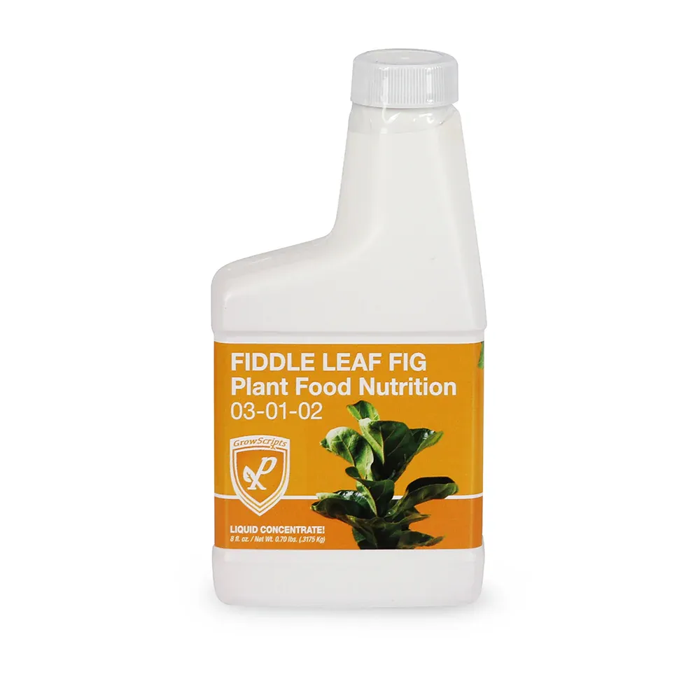 Growscripts Fiddle Leaf Fig Fertilizer Liquid Plant Food for Indoor Ficus Lyrata