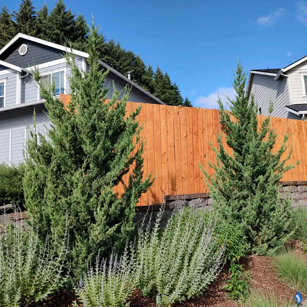 Trautman Juniper Versatile Wood Accessory 2