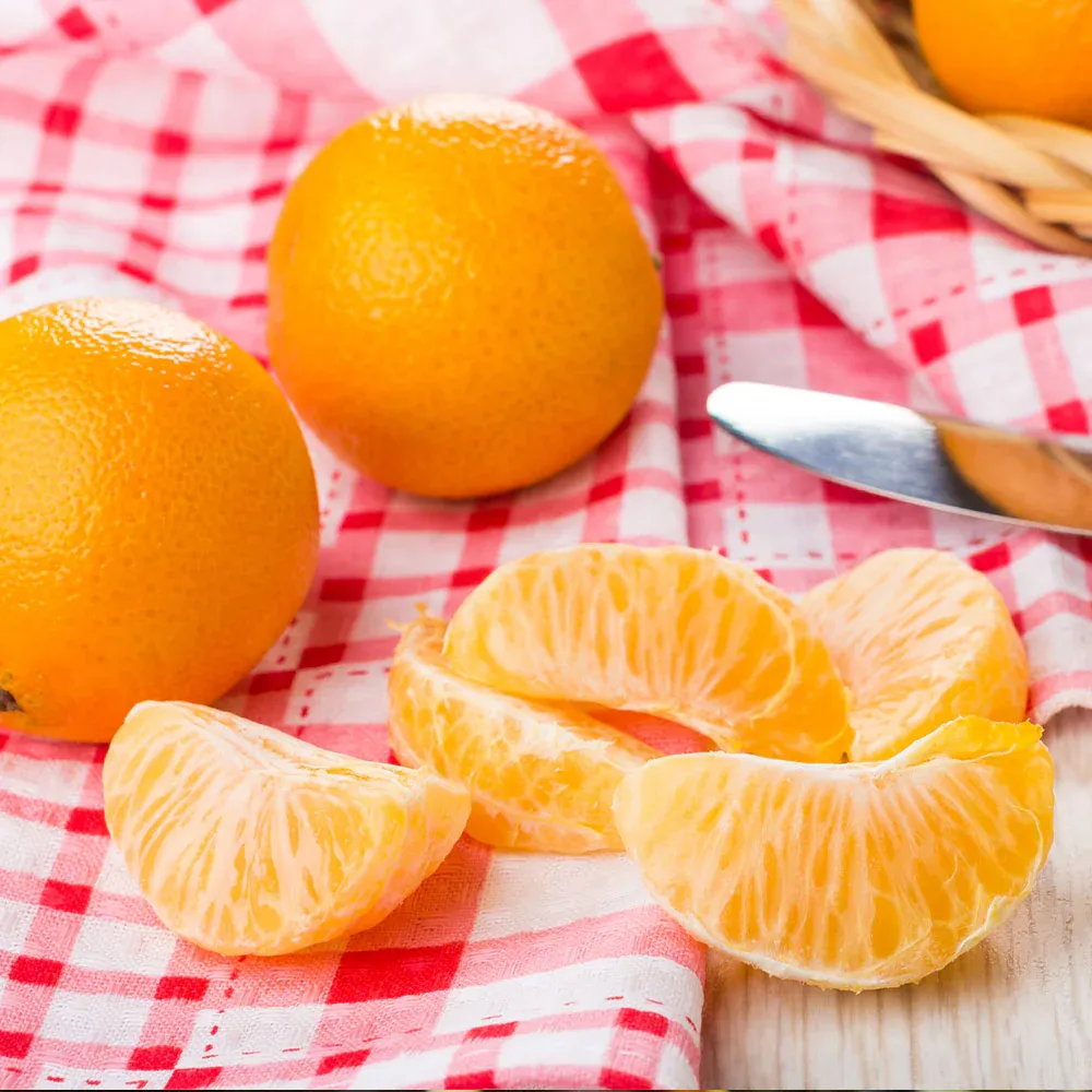 Live Navel Orange Tree - Citrus Sinensis for Home Gardens and Containers 3