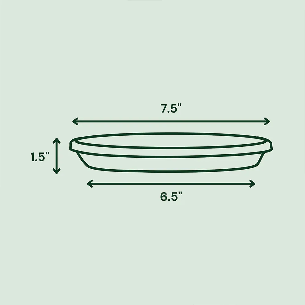 Terra Cotta Plant Saucer - Durable Drainage Tray for Indoor and Outdoor Pots 5
