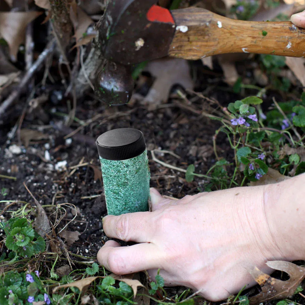 Lutz Palm Tree Fertilizer Spikes - Slow Release Nutrient Formula 1