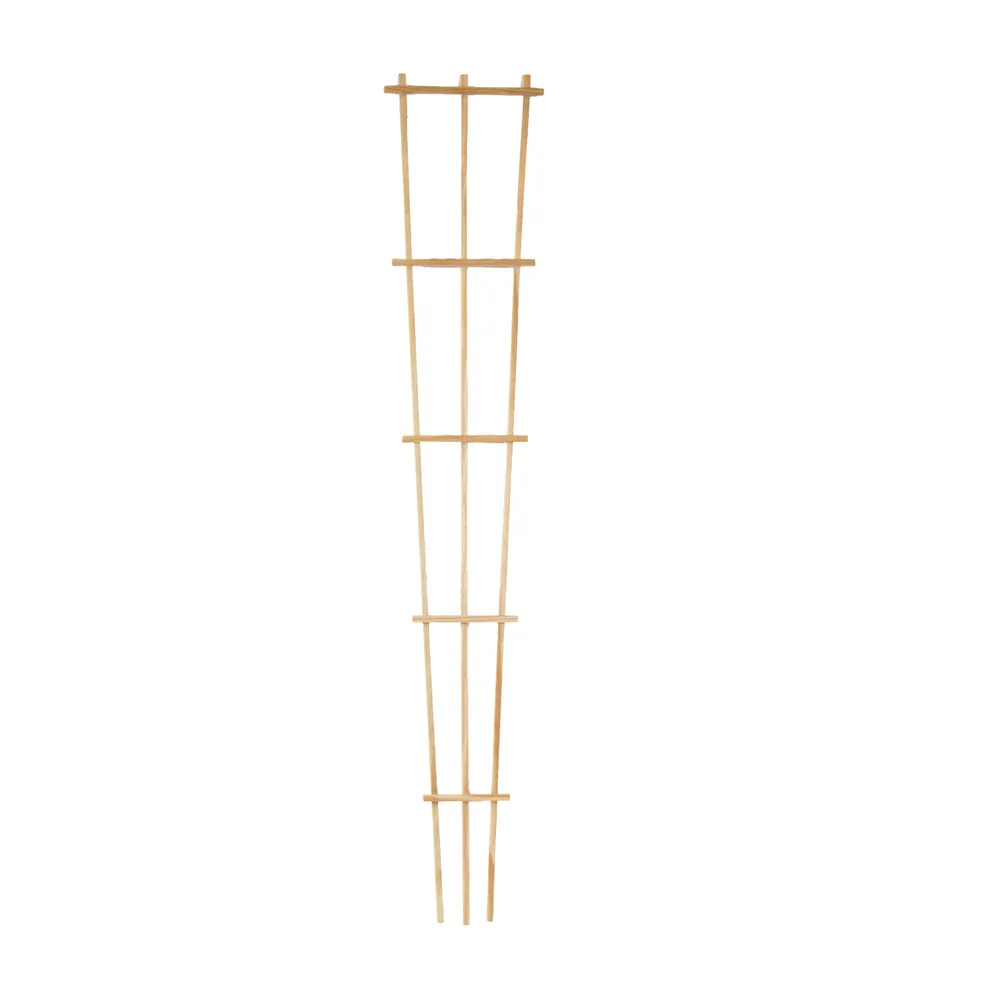 Pressure-Treated Wood Training Trellis for Climbing Plants 2