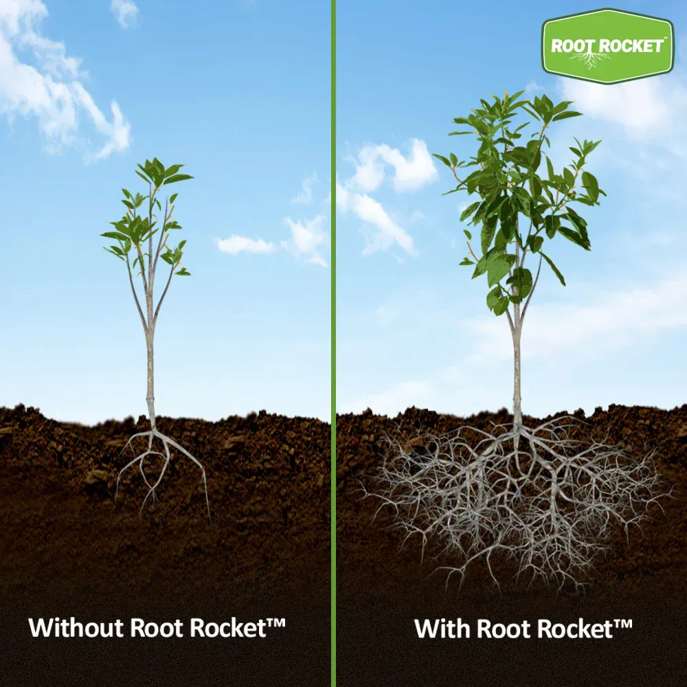 Root Rocket® Citrus Fertilizer Deep Root Nutrient Delivery System 3