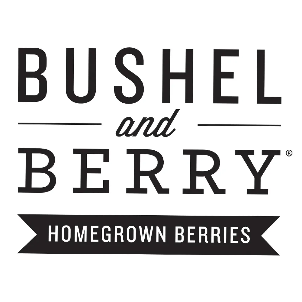 Silver Dollar Blueberry Plant - Dwarf Fruit-Bearing Shrub for Patios 5