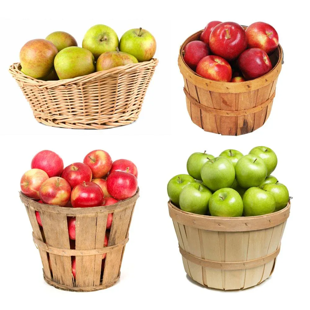 4-in-1 Multi-Graft Apple Tree for Home Orchards