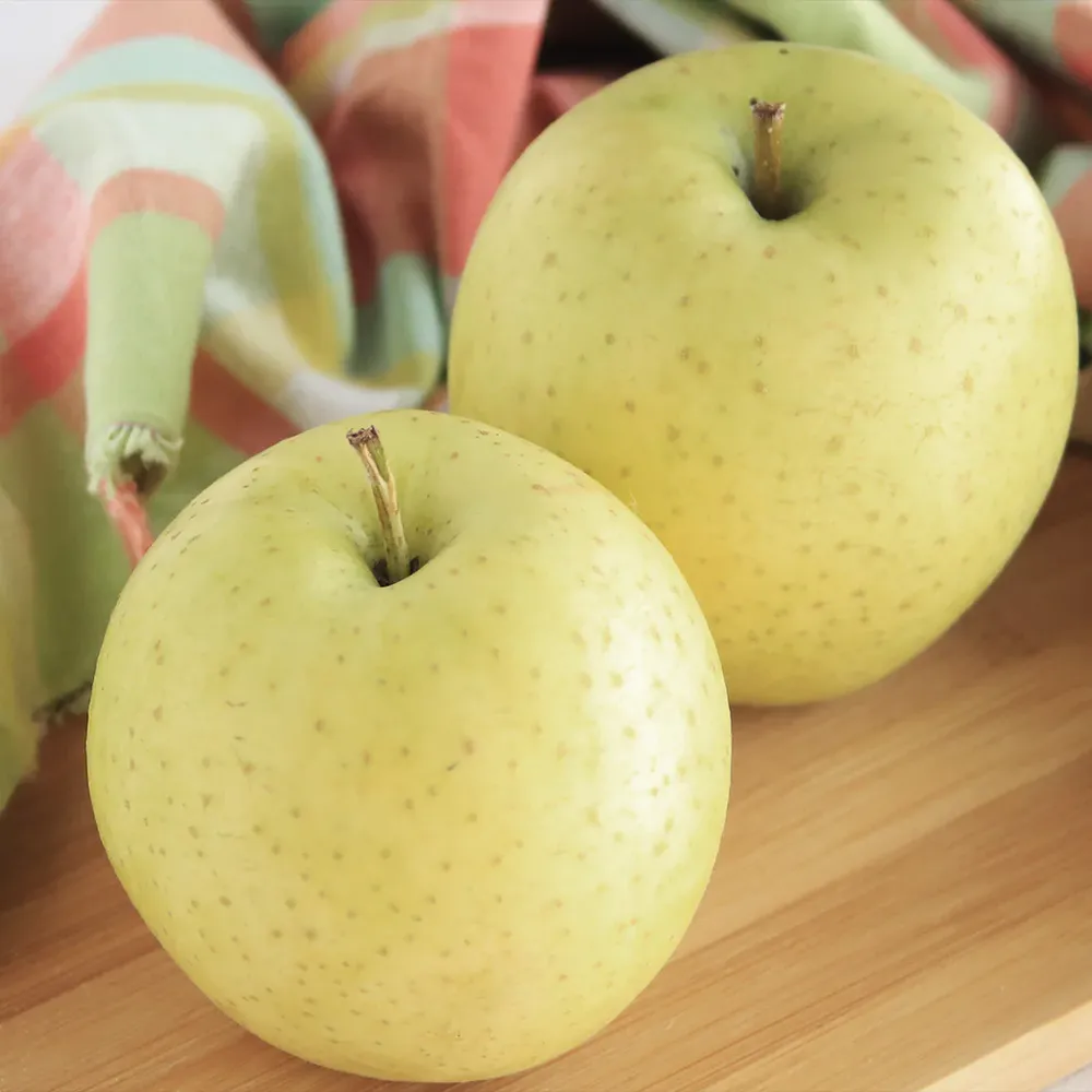 Pristine Apple Tree - Live Fruit Bearing Tree for Home Garden