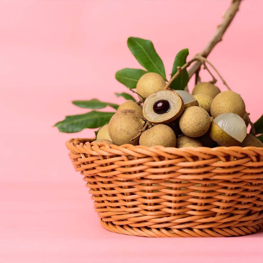 Live Longan Tree (Dimocarpus longan) for Home Garden and Landscaping 2