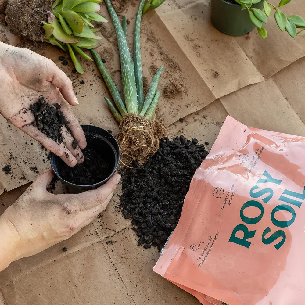 Cactus and Succulent Potting Mix - Fast-Draining Soil Blend for Indoor Plants 1