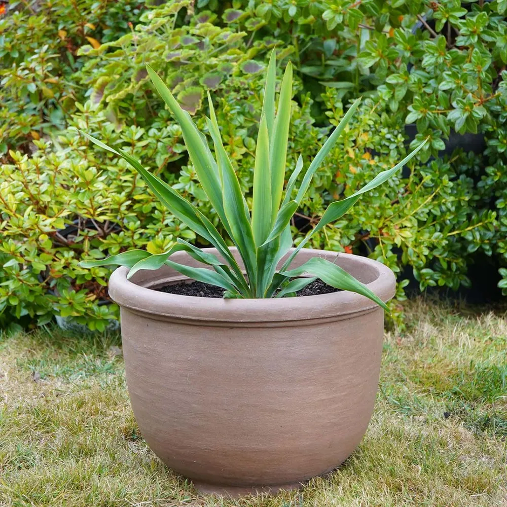 Agave Style Resin Garden Planter for Indoor and Outdoor Plants 1