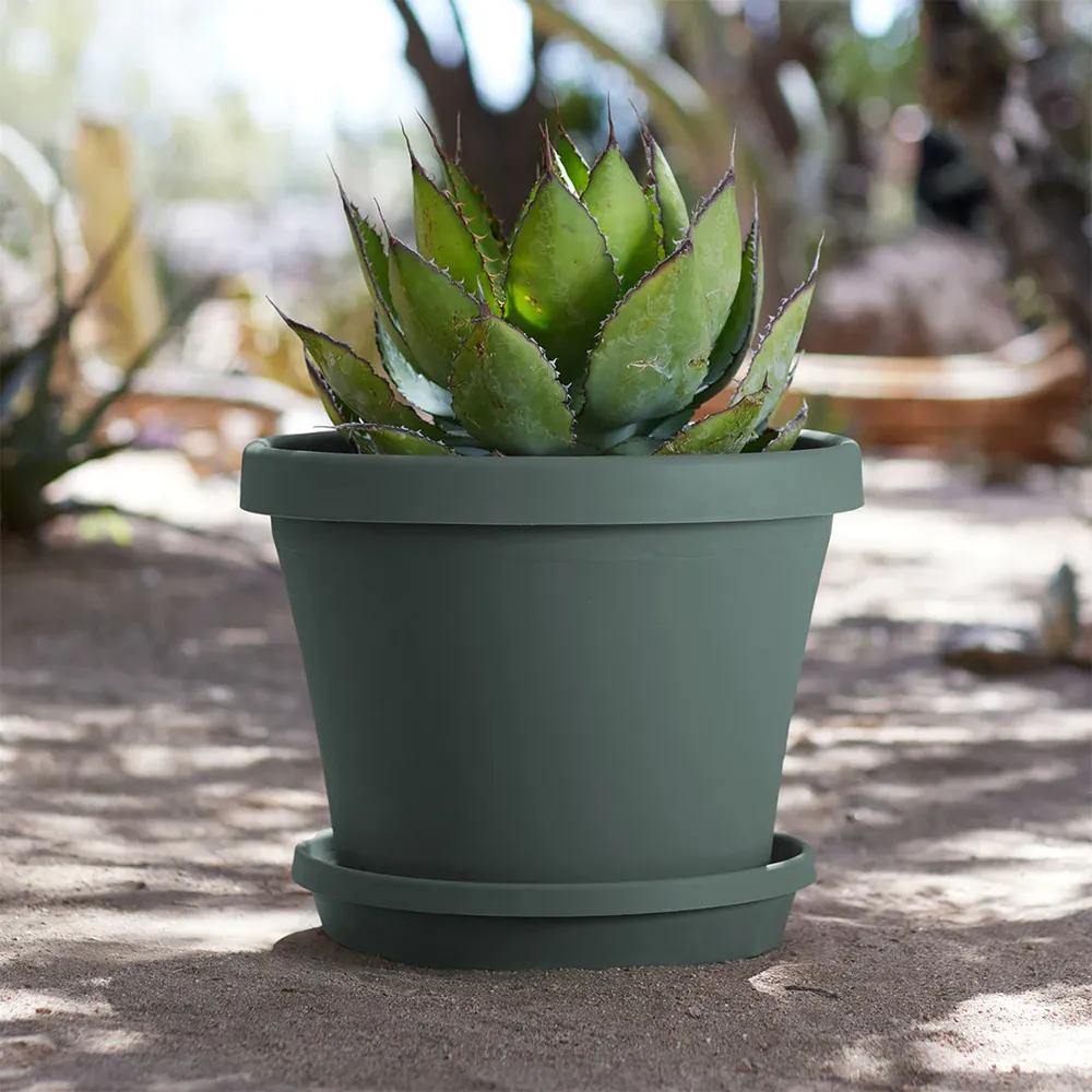 Bloem Terra Planter in Basil - Durable Resin Indoor and Outdoor Flower Pot 1
