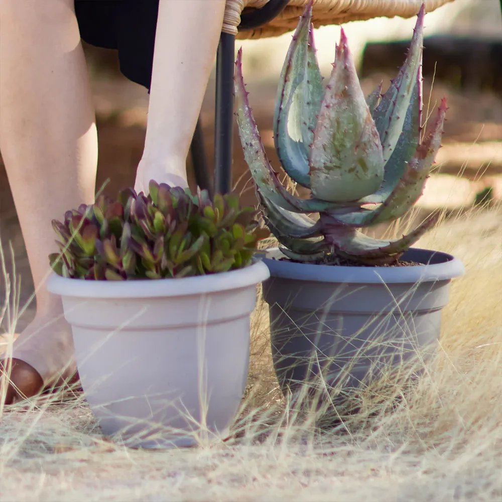 Bloem Ariana Self-Watering Planter, Pebble Stone Finish 4