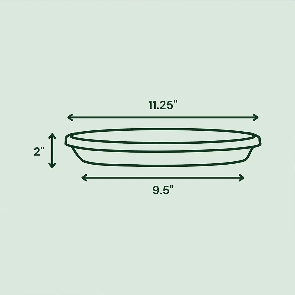 Terra Plant Pot Saucer in Basil Green 1