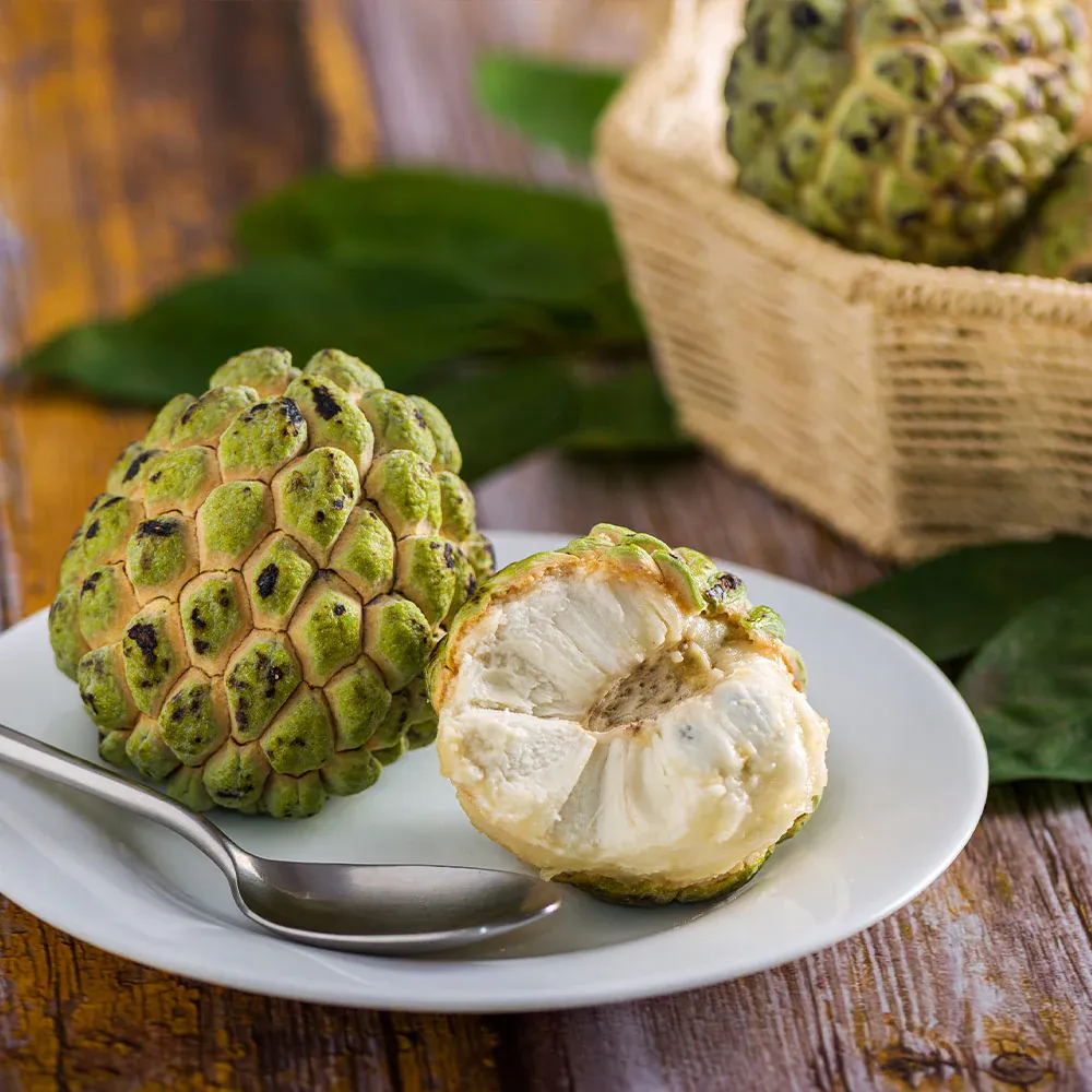 Sugar Apple Tree (Annona squamosa) Live Tropical Fruit Plant 3