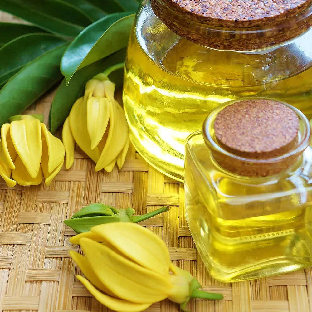 Artificial Ylang Ylang Tree for Indoor Home and Office Decor 4