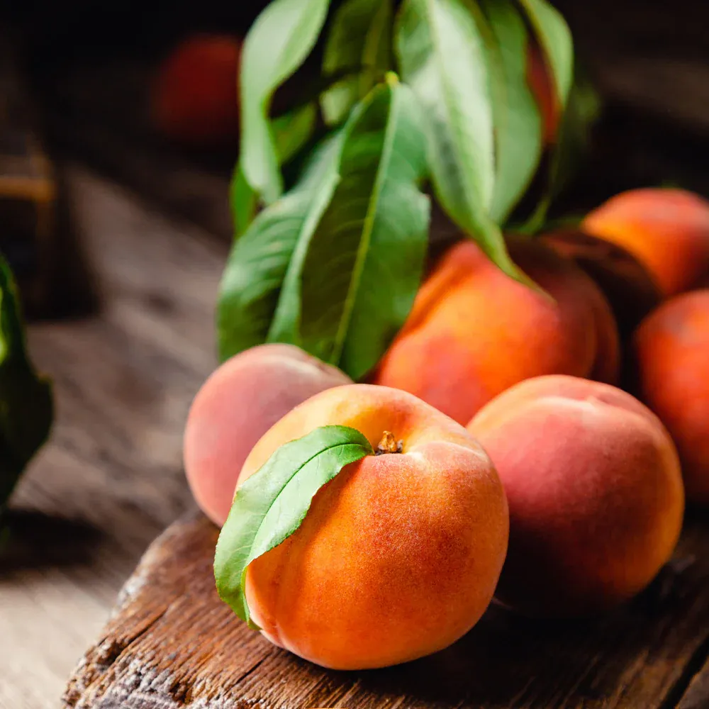 4-in-1 Multi-Graft Peach Tree for Home Orchards