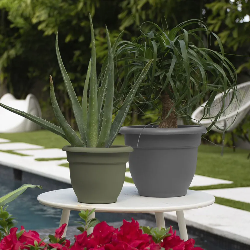 Ariana Self-Watering Planter in Charcoal 4