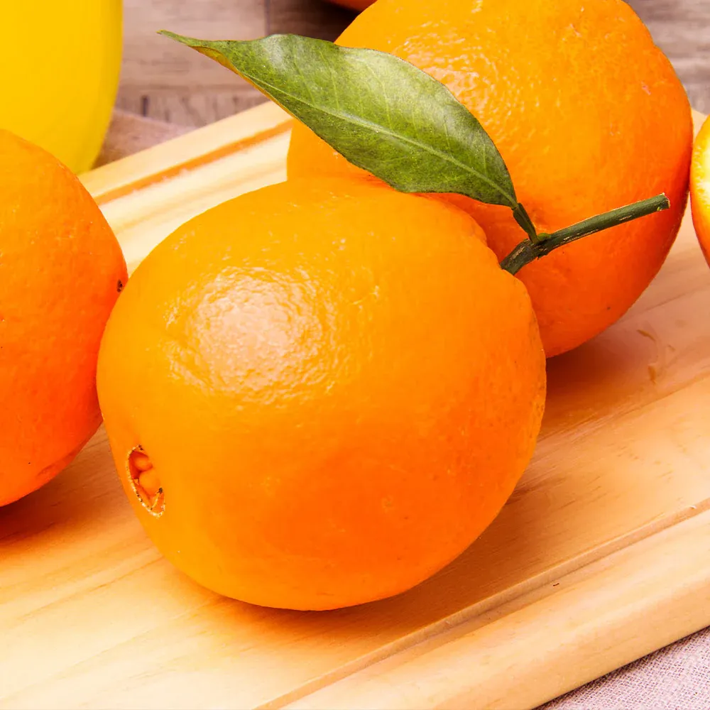 Navel Orange Tree - Live Citrus Sinensis Fruit Plant 2