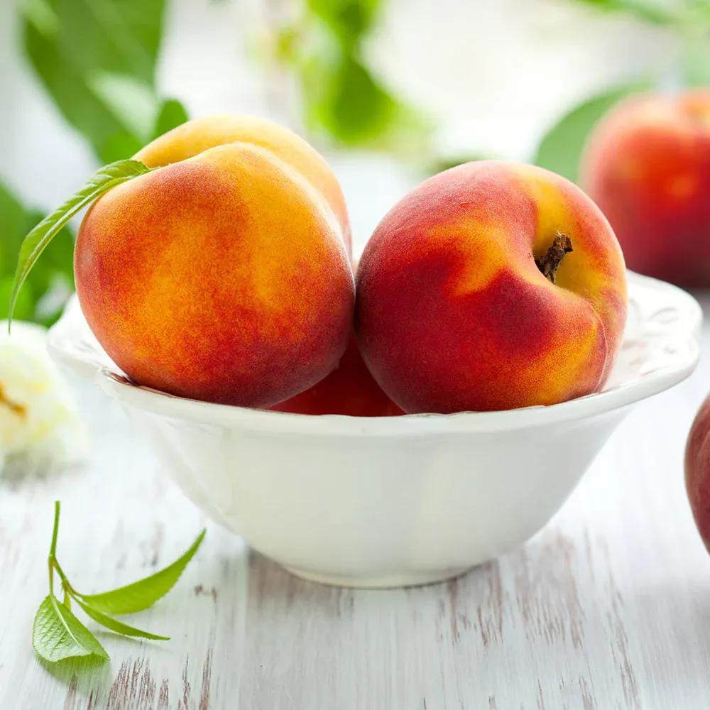 June Gold Peach Tree Self-Pollinating Deciduous Fruit Tree 2