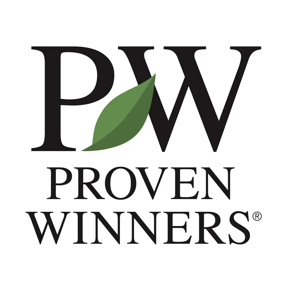 Proven Winners® Taste of Heaven® Thornless Blackberry Shrub 5