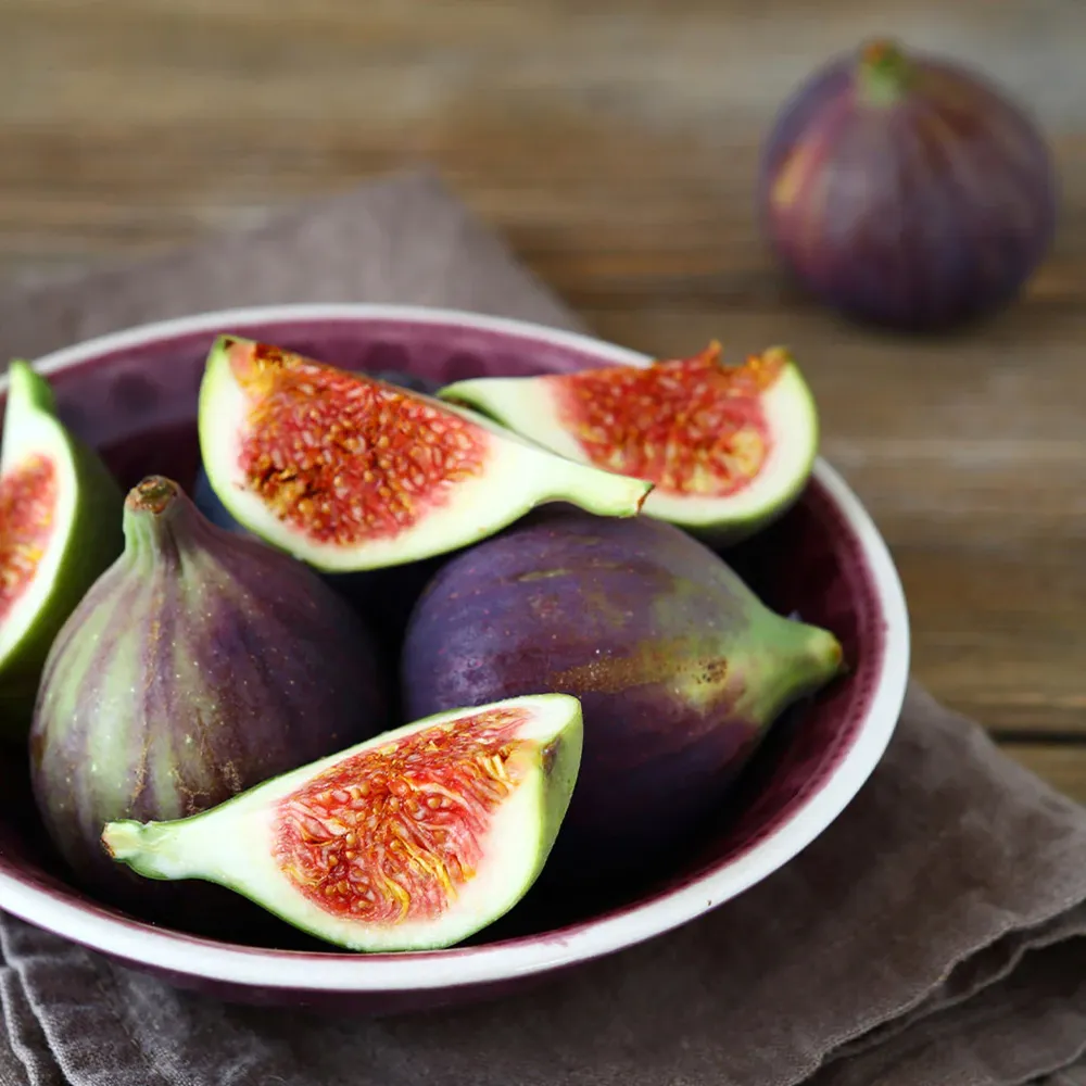 Celeste Fig Tree - Hardy Self-Pollinating Fruit-Bearing Deciduous Tree