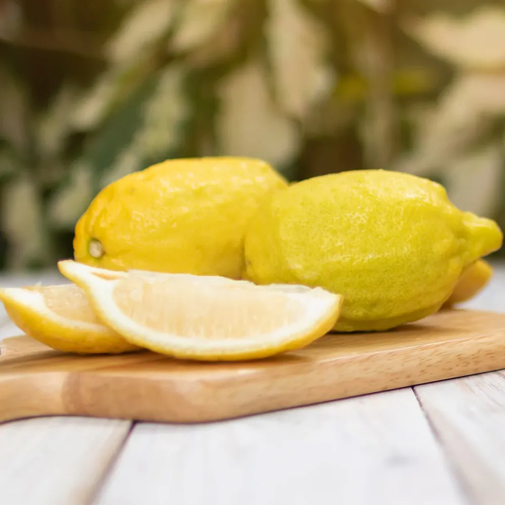 Lisbon Lemon Tree Artificial Indoor Potted Plant 1