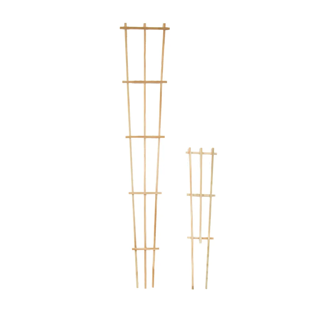Pressure-Treated Wood Training Trellis for Climbing Plants 3