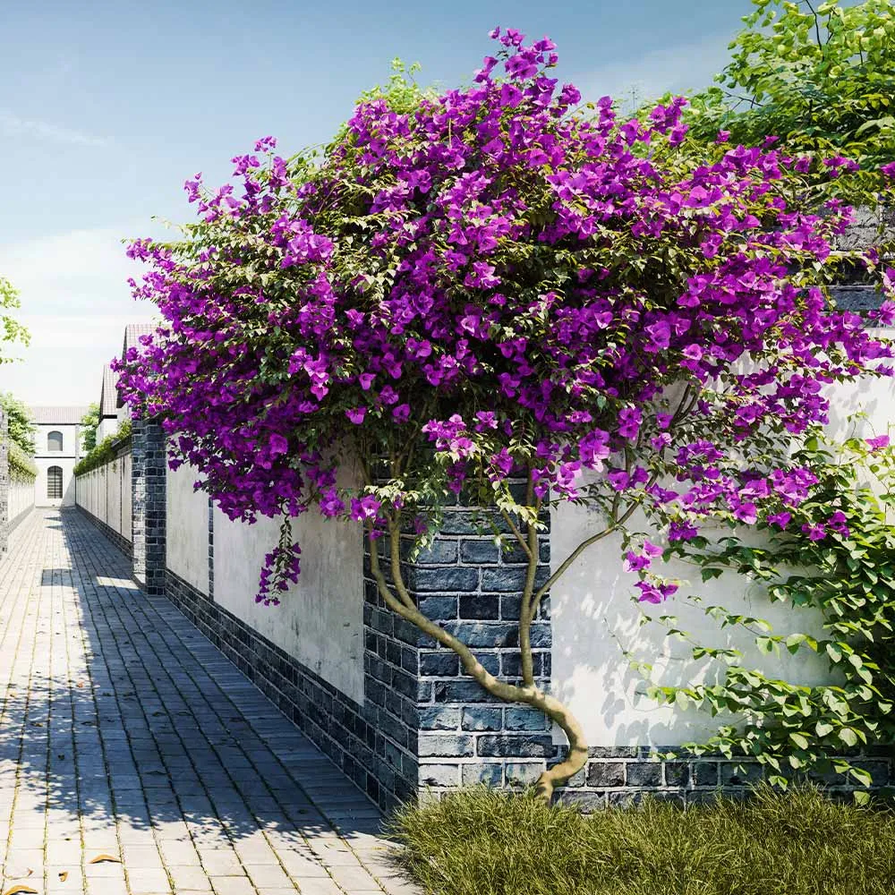 New River Purple Bougainvillea Tree - Lifelike Artificial Potted Plant