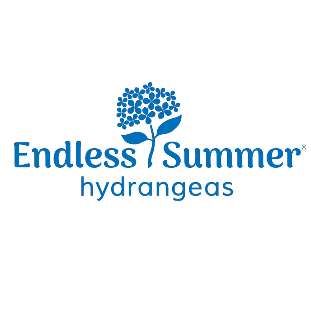 Endless Summer® Summer Crush® Hydrangea - Reblooming Bigleaf Shrub 7