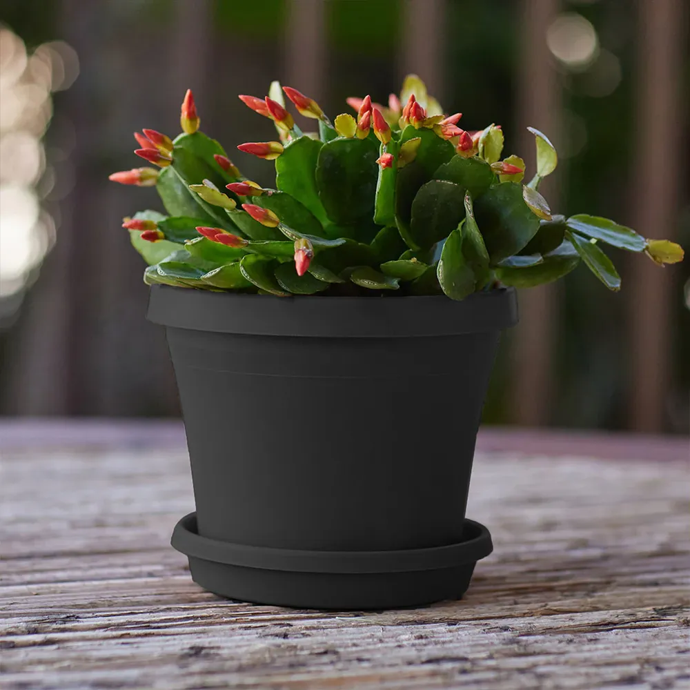 Bloem Terra Planter in Black - Durable Indoor and Outdoor Garden Pot 3