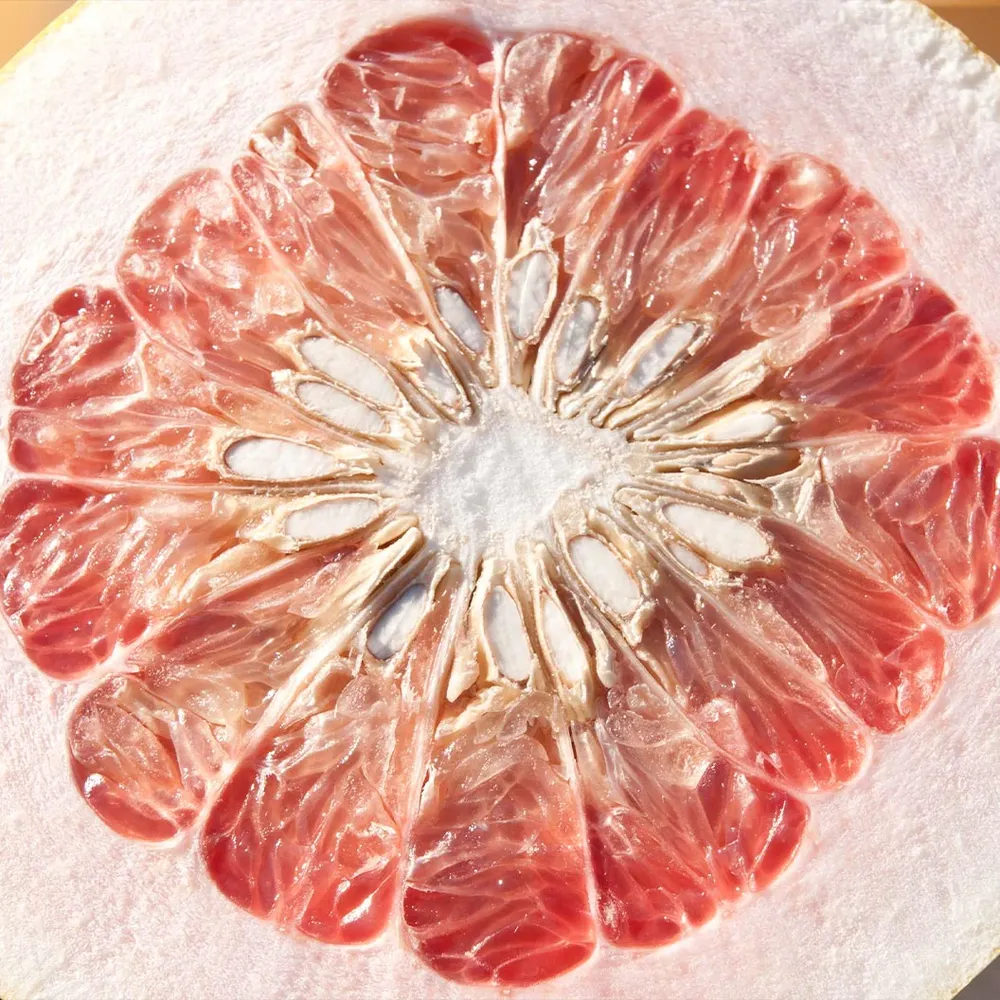 Chandler Pummelo Tree (Citrus maxima) - Live Fruit Bearing Plant 1