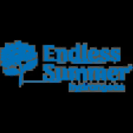 Endless Summer® The Original Reblooming Hydrangea Macrophylla Shrub 5