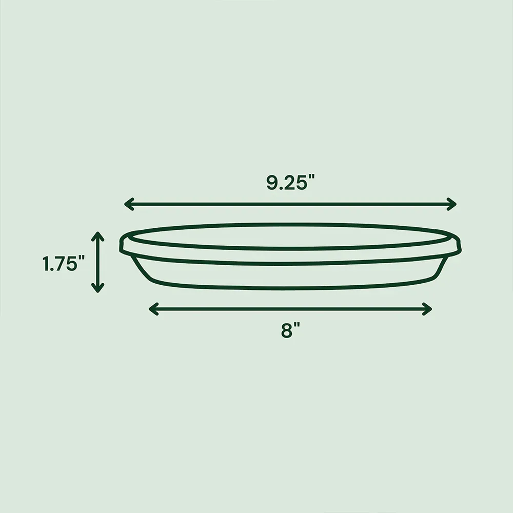Terra Plant Pot Saucer, Black Plastic Drip Tray for Indoor and Outdoor Planters 4