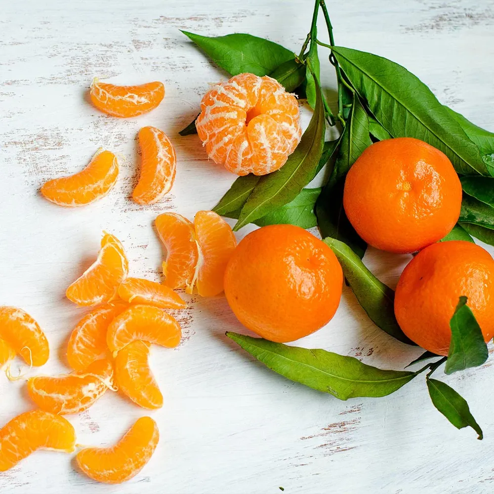 Ponkan Mandarin Tree (Citrus Reticulata) Live Fruit Plant 1