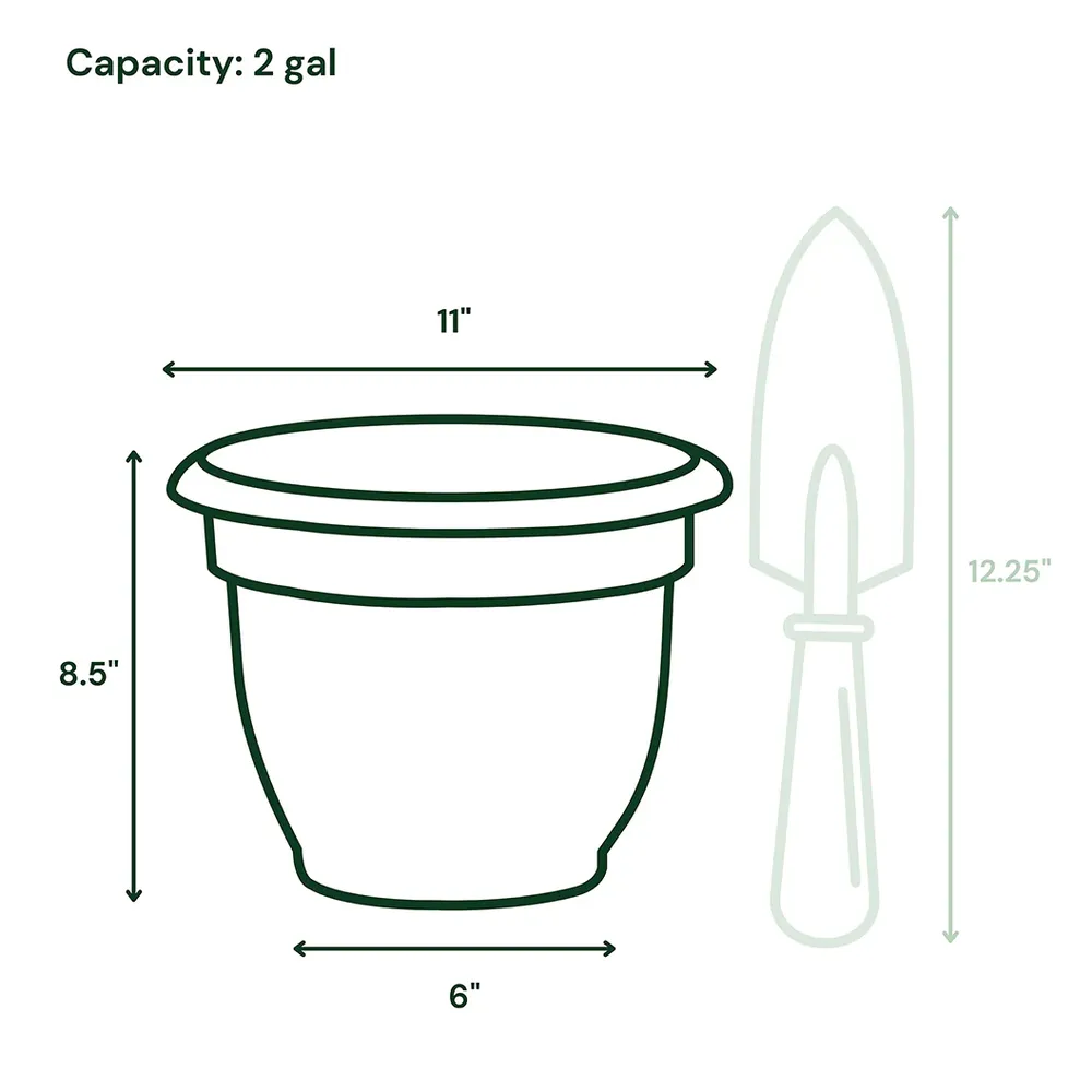 Ariana Self-Watering Planter in Charcoal 6