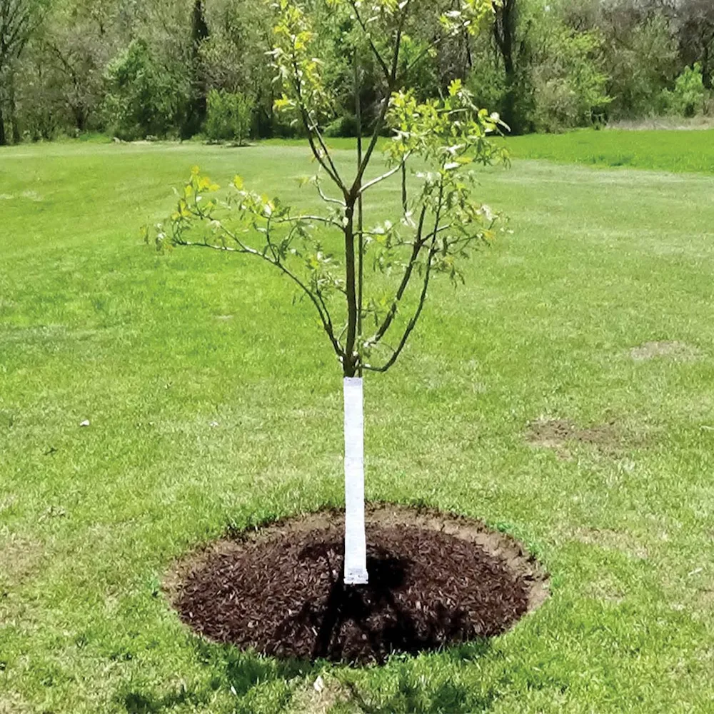 Dewitt Tree Wrap - Protective Tree Trunk Guard