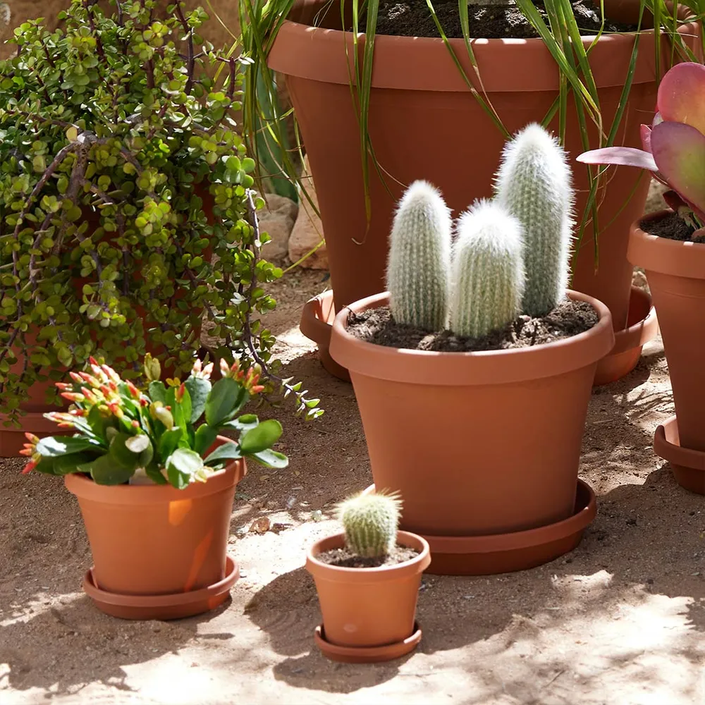 Bloem Terra Planter in Terra Cotta - Durable Indoor and Outdoor Garden Pot 3