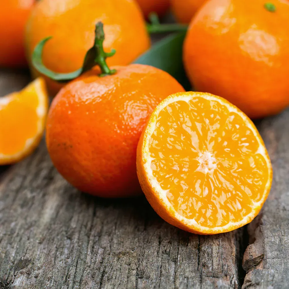 Kishu Mandarin Tree (Seedless) - Dwarf Citrus Fruit Tree 2