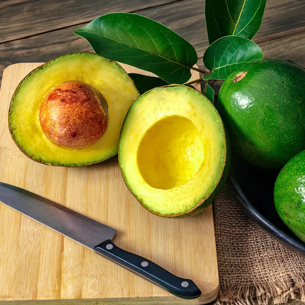 Stewart Avocado Tree - Cold Hardy Fruit Bearing Tree 1