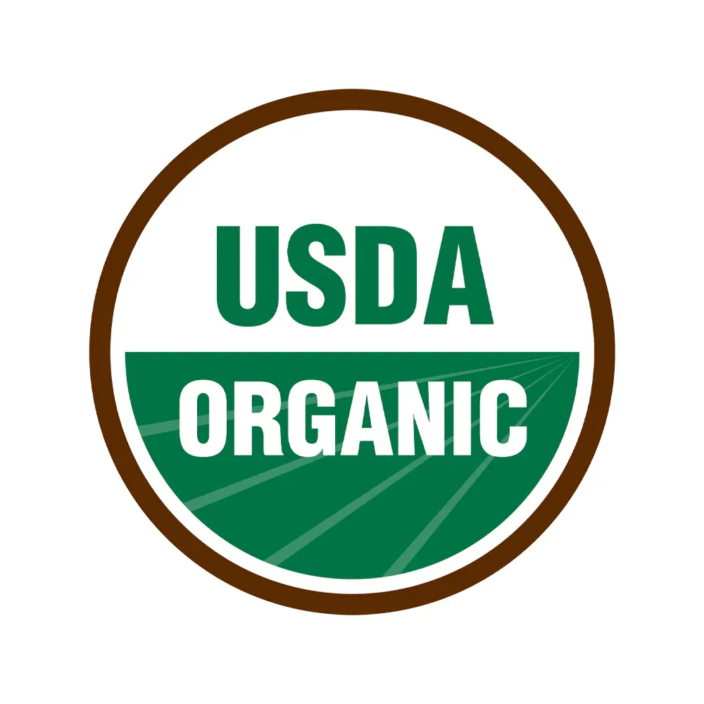 Sweetheart Blueberry Bush - USDA Organic Fruit-Bearing Shrub 6