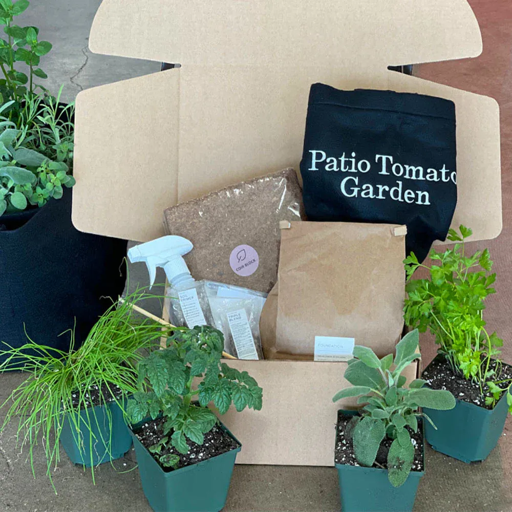 Patio Tomato Garden Container Kit for Small Space Vegetable Growing 3