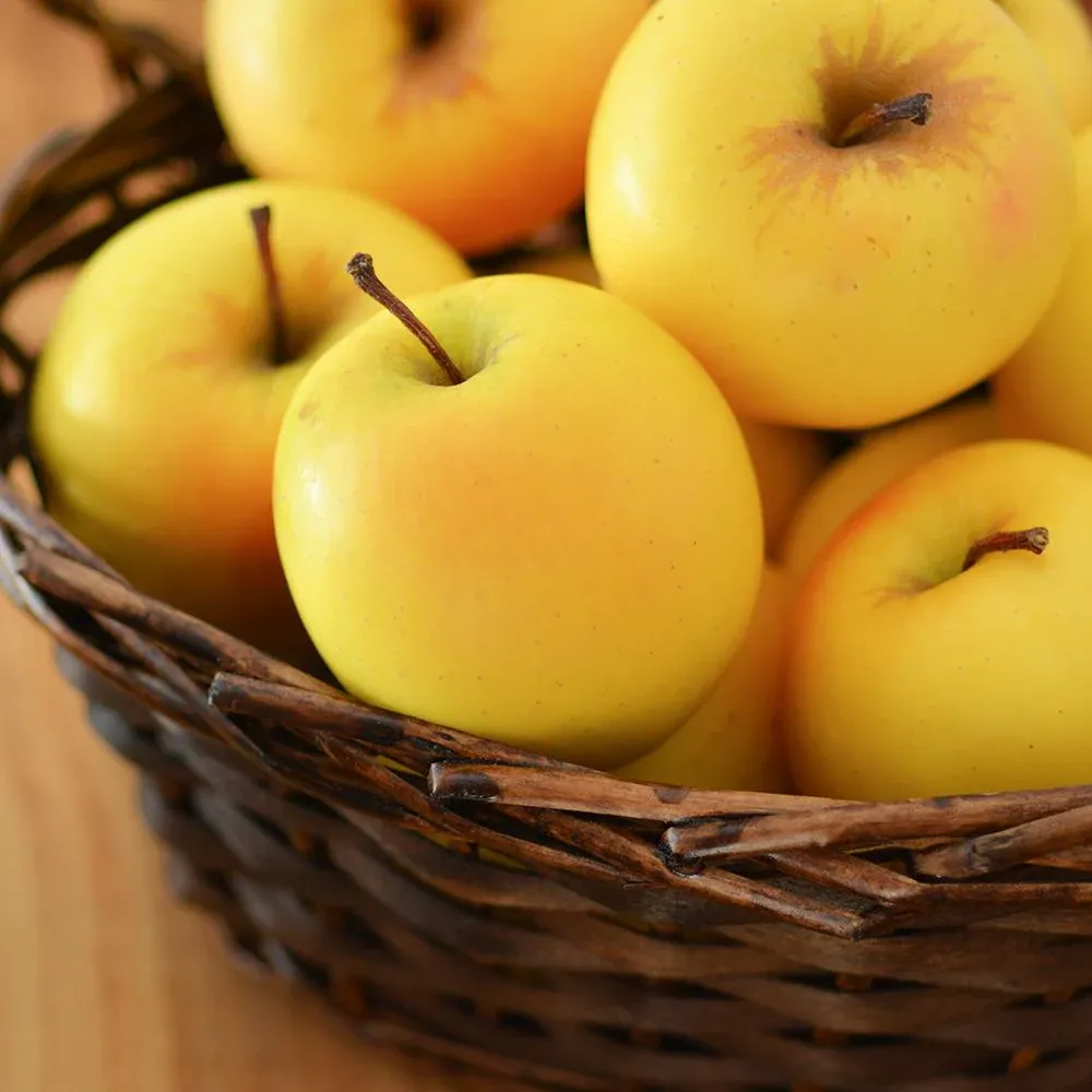 Golden Delicious Apple Tree - Self-Fertile Fruit Bearing Sapling 2