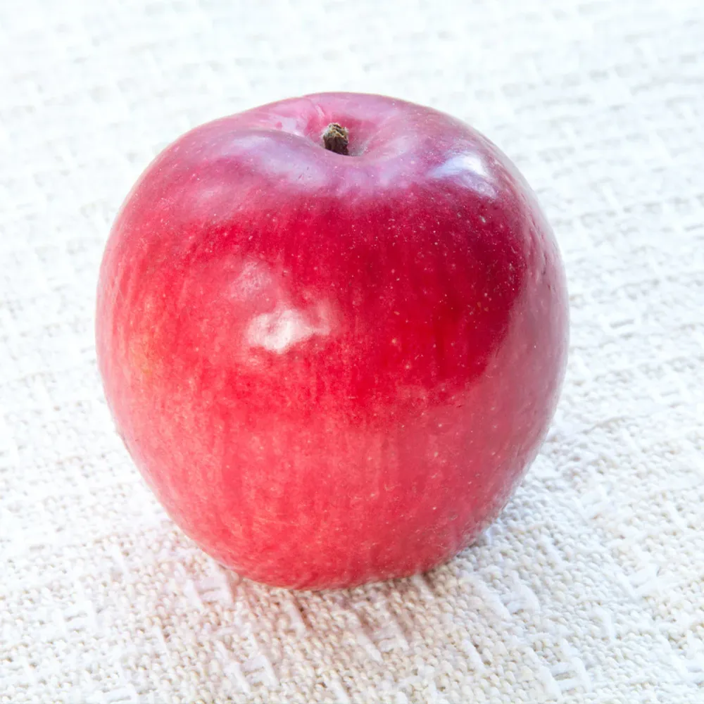 Liberty Apple Tree - Disease Resistant Fruit Tree for Home Orchards 1
