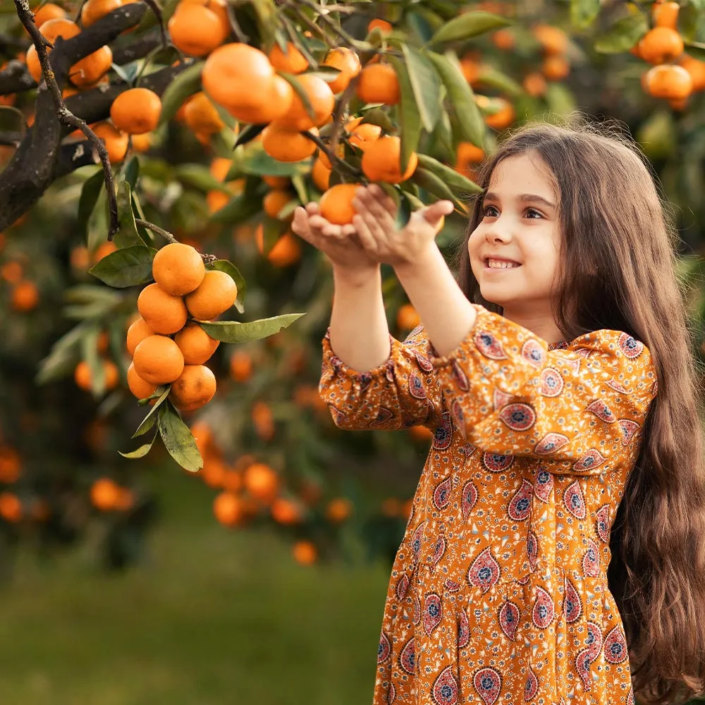 Artificial Mandarin Tree - Realistic Potted Decorative Fruit Tree