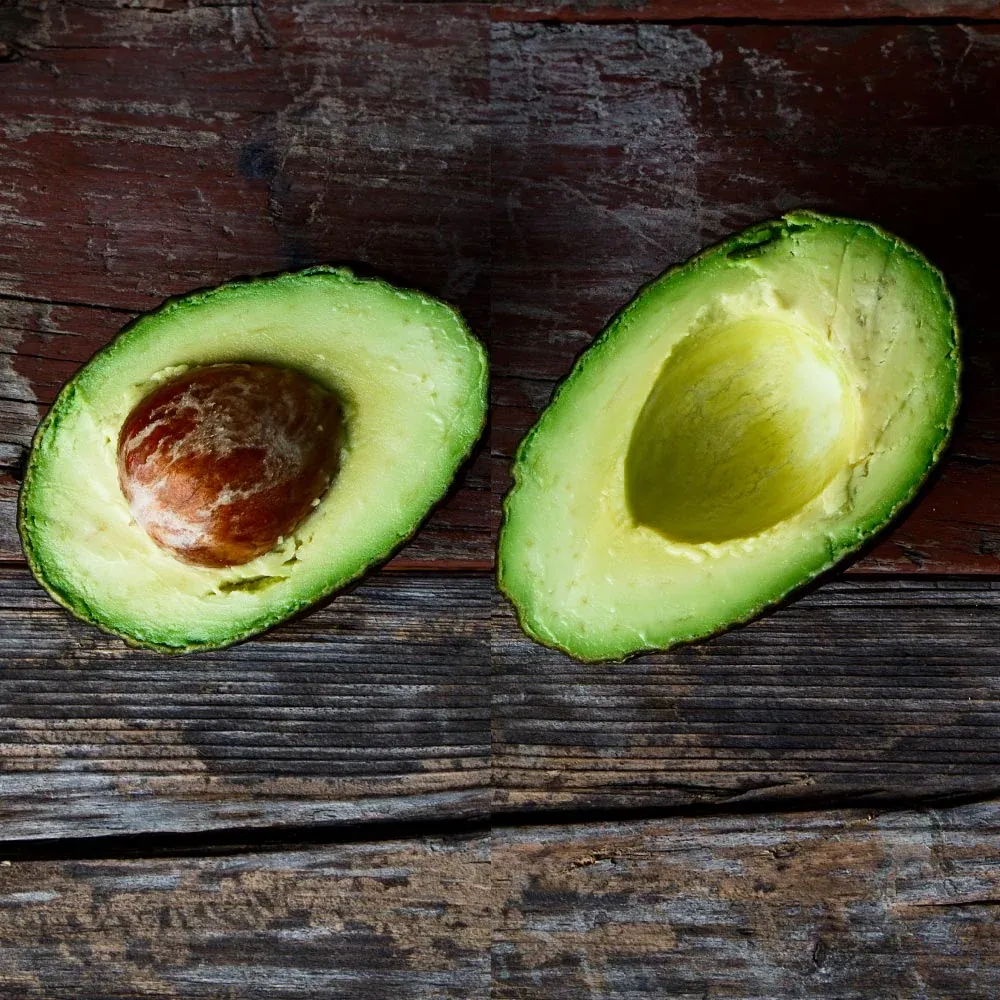 Choquette Avocado - Large Tropical Variety 2