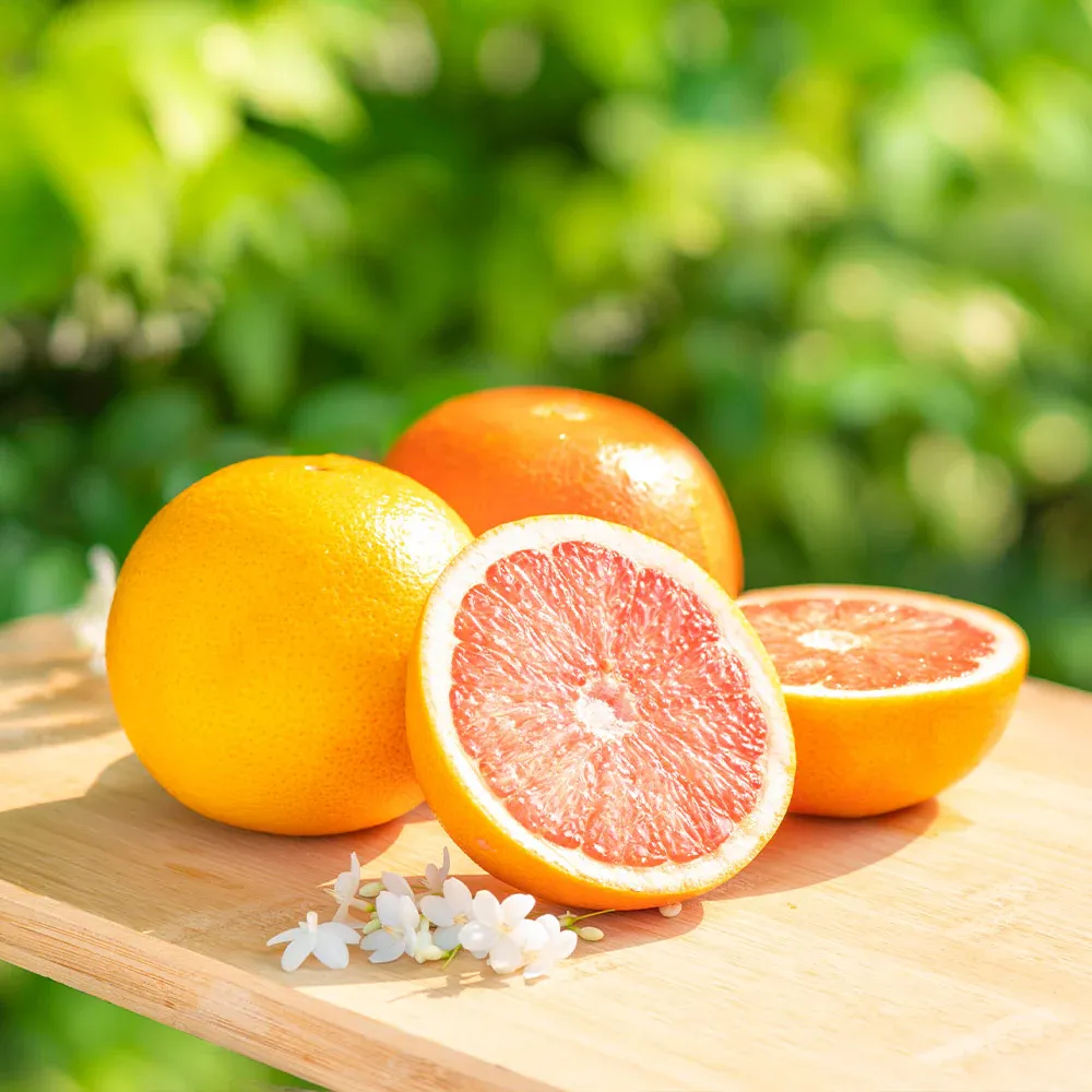 Ruby Red Grapefruit Tree - Live Citrus Paradisi Fruit Plant