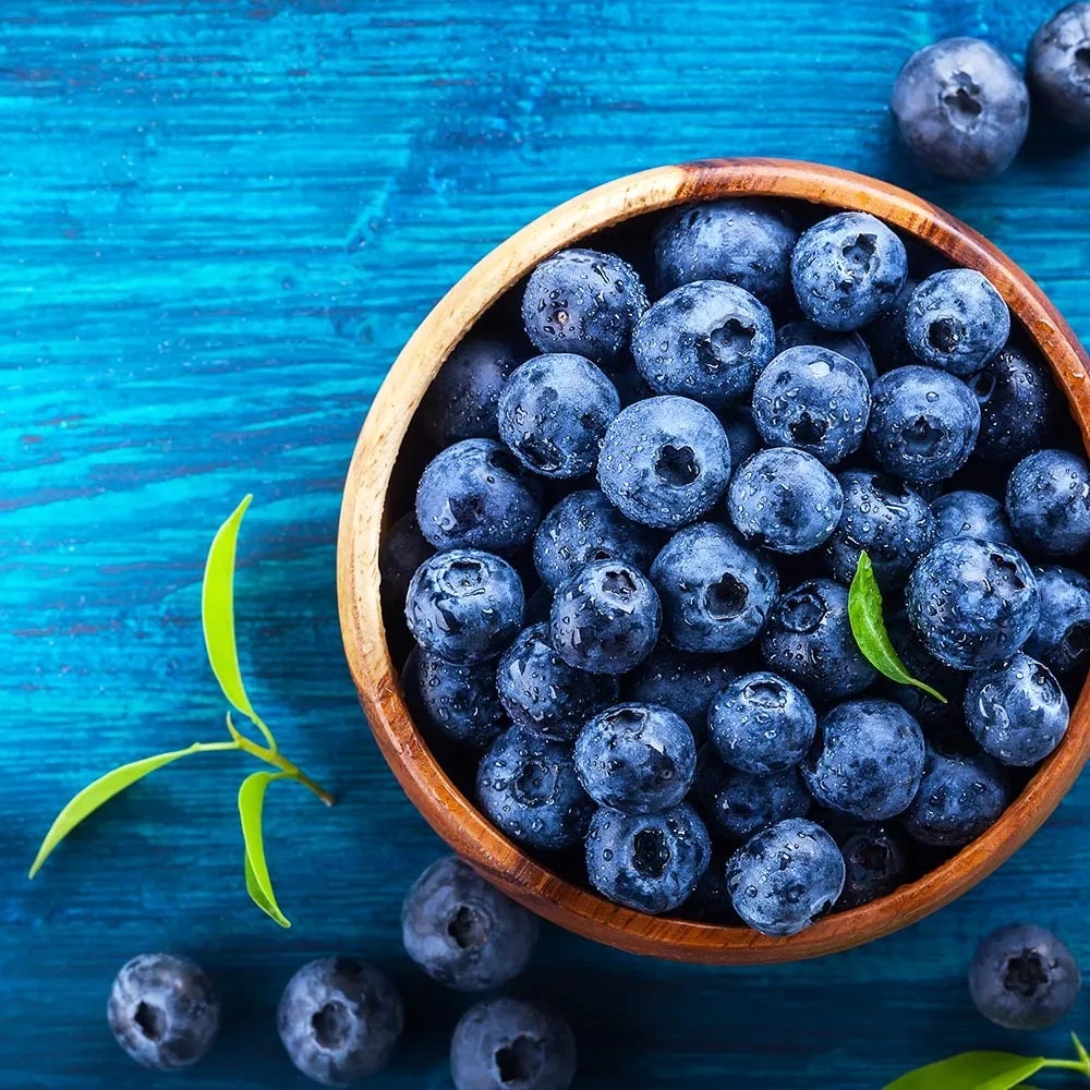 Brightwell Blueberry Bush - Rabbiteye Variety for Home Gardens 3
