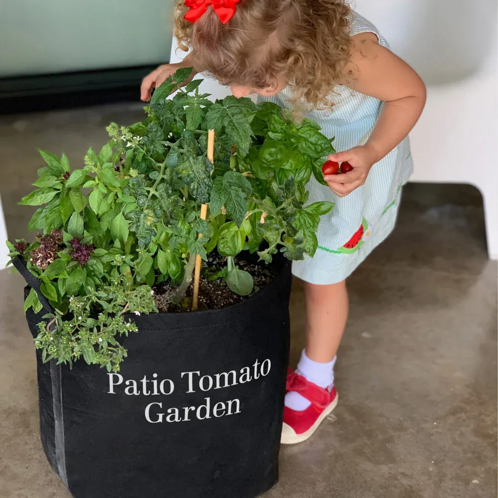 Patio Tomato Garden Container Kit for Small Space Vegetable Growing
